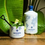 Sorbetto al Gin Tonic Nordés