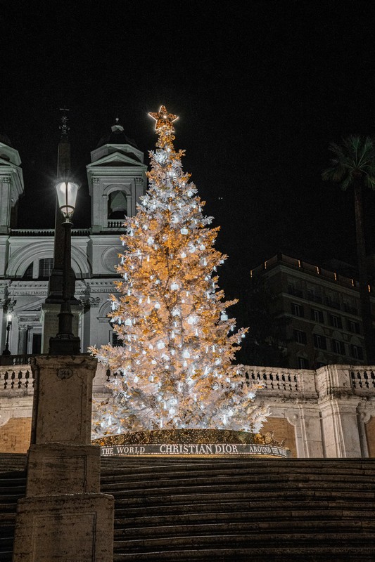 Vetrine di Natale Dior 2023