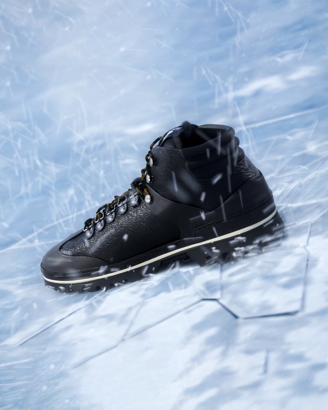 Pollini capsule Ice Cracker 2023