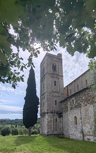 Brunello di Montalcino Casisano