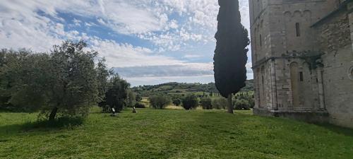 Brunello di Montalcino Casisano