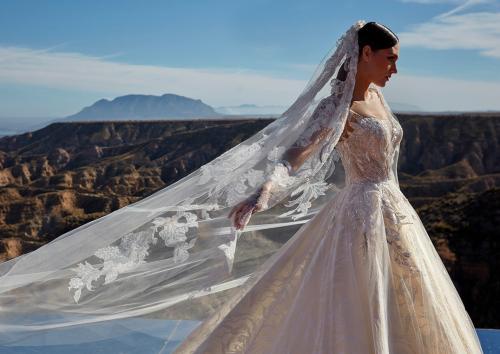 Pronovias abiti da sposa Privée 2024