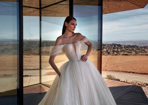 Pronovias abiti da sposa Privée 2024