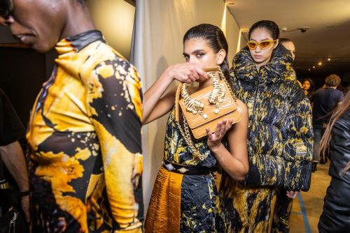 Roberto Cavalli autunno inverno 2024