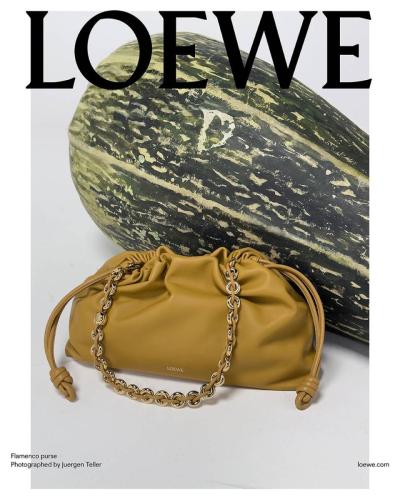 Loewe-pre-collezione-primavera-estate-2025-campagna-accessori-4